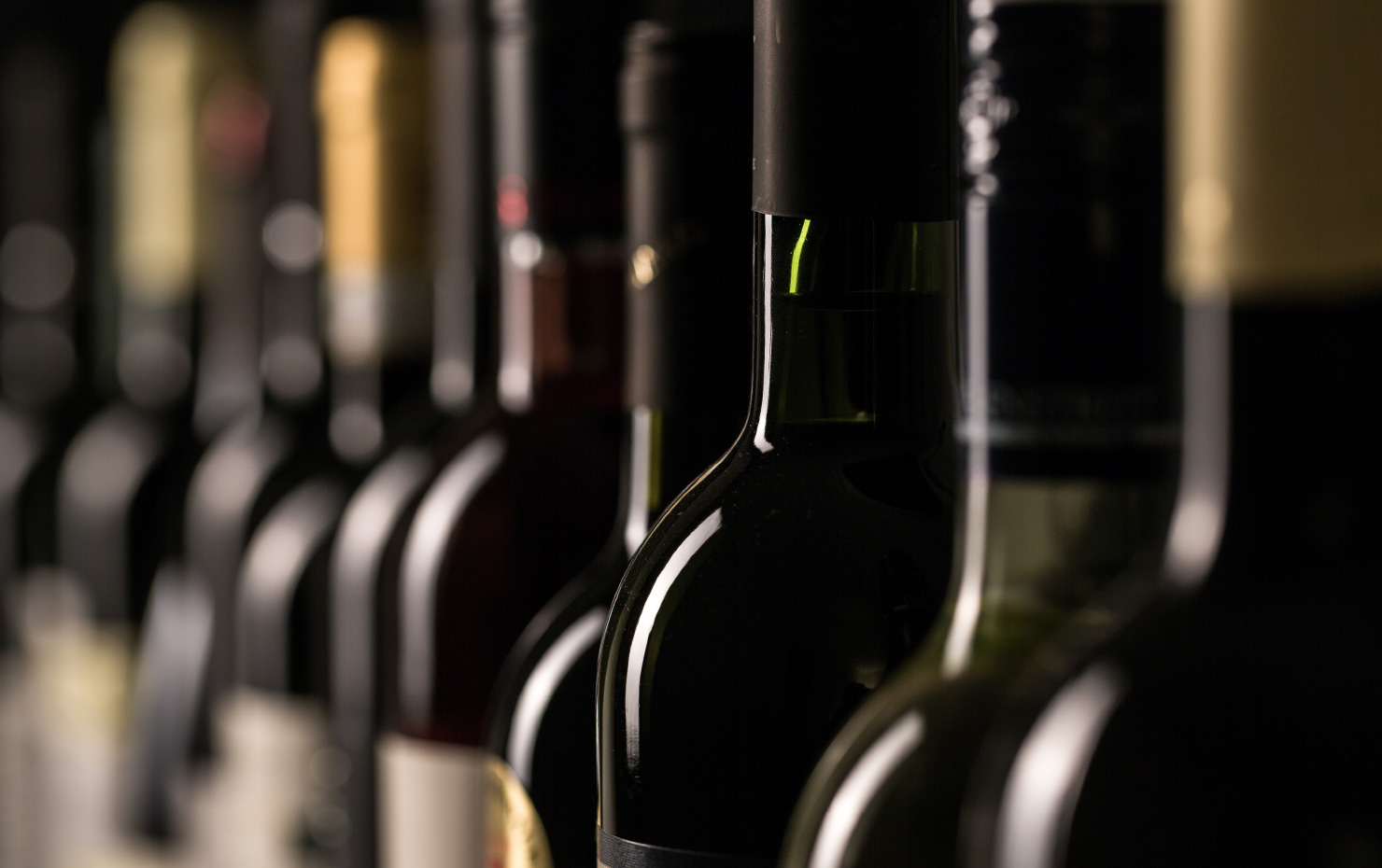 Israel wine experience