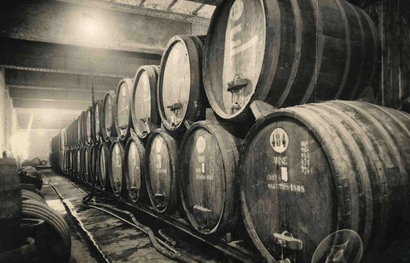Explore wines from Israel - Taste history! Explore wines from Israel - Taste history!