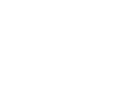 Israel Wine experience LOGO