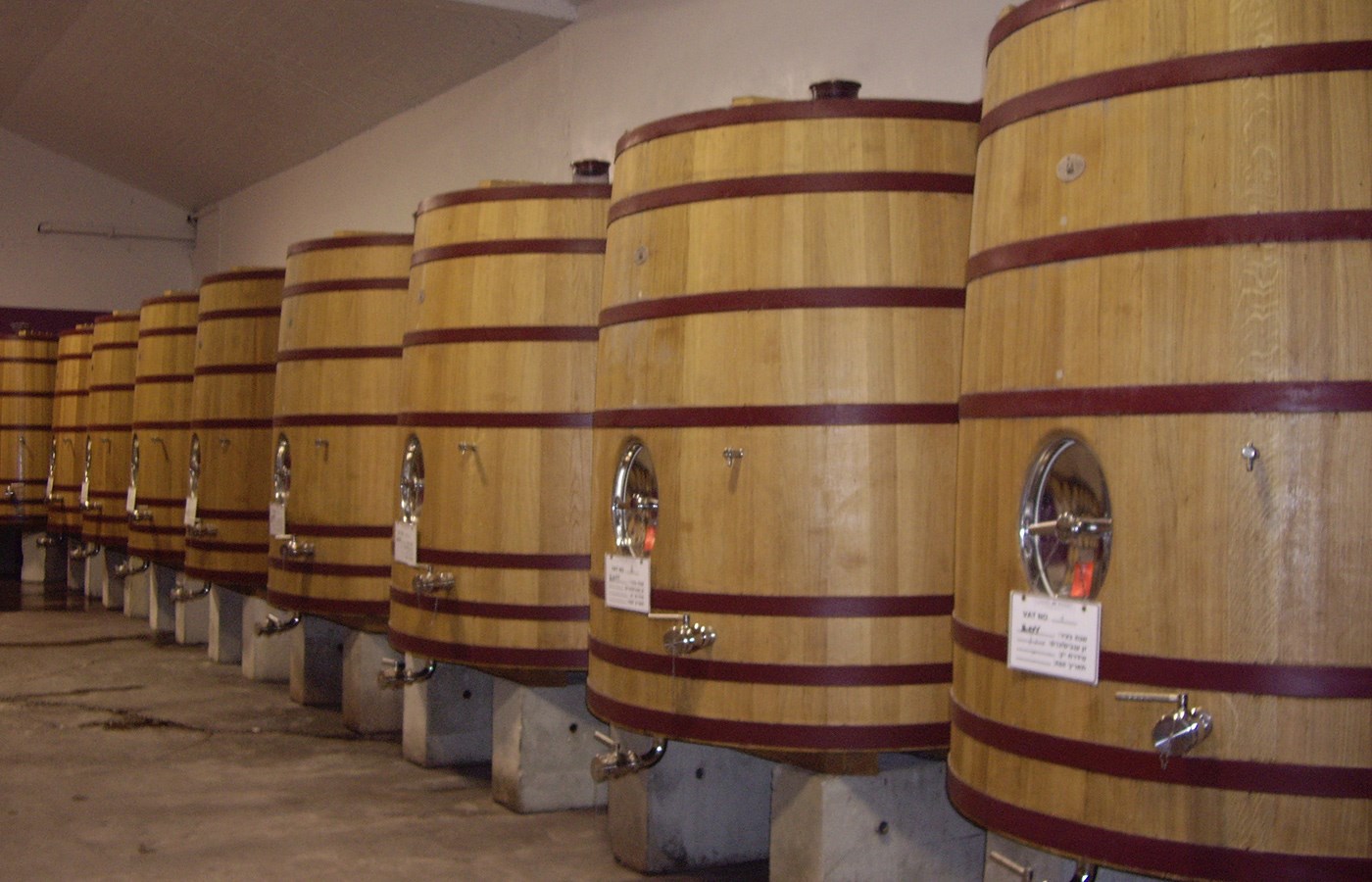 Explore wines from Israel - Taste history! Explore wines from Israel - Taste history!