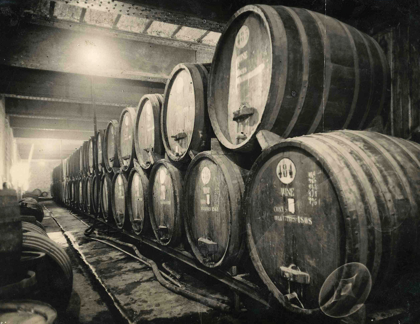 Explore wines from Israel - Taste history!